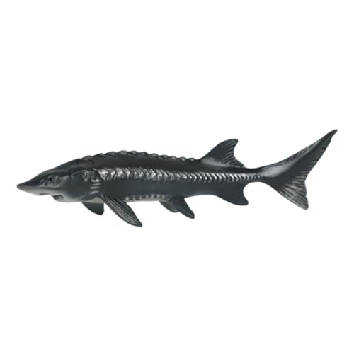 Toddmomy Simulation Animal Model Lifelike Chinese Toy Für Junge Mädchen Interaktives Lernspielzeug Fördert Kreativität Und Kognitive Fähigkeiten Dekorative Figur Für Zuhause Oder von Toddmomy