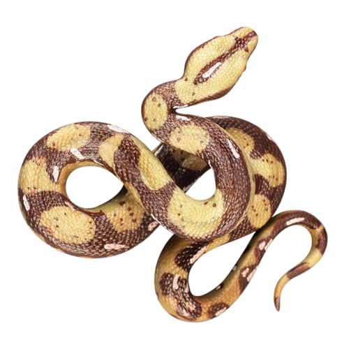 Toddmomy Lebendige Gefälschte Schlangenspielzeug Realistisches Schlangenmodell für Halloween Prop und Geburtstagsgeschenk und Spaß von Toddmomy