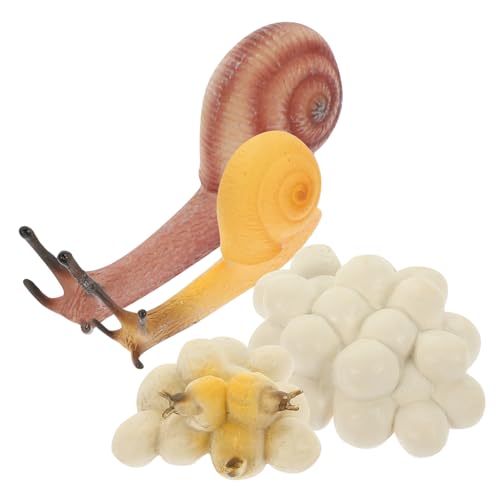 Toddmomy Lebensechte Schnecken Wachstumszyklus Modelle aus Kunststoff Pädagogische Tierwachstumsspielzeuge für Kognitive Lernspielzeuge und Dekorative Bildungsmodelle Toddmomy Lebensechte Schnecken Wachstumszyklus Modelle aus Kunststoff Pädagogische Tierwachstumsspielzeuge für Kognitive Lernspielzeuge und Dekorative Bildungsmodelle von Toddmomy