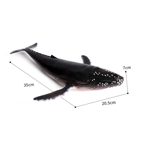 Toddmomy Lebensechtes Buckelwal Modell aus Hochwertigem Kunststoff Realistische Meeresfigur als Dekoratives Kinderspielzeug und Sammlerstück Kreative Miniatur für Aquarium Büro Zuhause Toddmomy Lebensechtes Buckelwal Modell aus Hochwertigem Kunststoff Realistische Meeresfigur als Dekoratives Kinderspielzeug und Sammlerstück Kreative Miniatur für Aquarium Büro Zuhause von Toddmomy