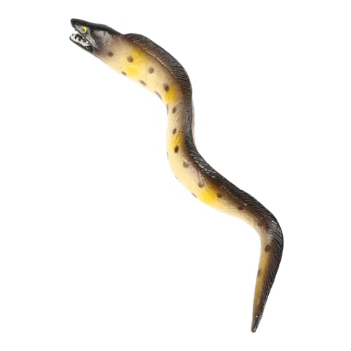 Toddmomy Lebensechtes Seeaal Modell Für Realistische Meerestierfigur Lernspielzeug Für Unterricht Dekoration Garten Und Heimgestaltung von Toddmomy