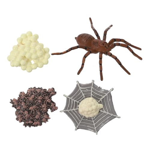 Toddmomy Lebenszyklus Modell Spinne Lernspielzeug Umweltfreundlich Realistisches Wachstum Tierfiguren Naturwissenschaft Unterricht Toddmomy Lebenszyklus Modell Spinne Lernspielzeug Umweltfreundlich Realistisches Wachstum Tierfiguren Naturwissenschaft Unterricht von Toddmomy