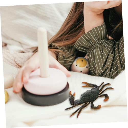 Toddmomy Lernspielzeug Krabbenmodell Realistisch Gestaltet Pädagogisches Meeresbewohner Farbenfrohes Sicheres Krebsspielzeug für Kinderzimmer Dekoration und Frühe Bildung Toddmomy Lernspielzeug Krabbenmodell Realistisch Gestaltet Pädagogisches Meeresbewohner Farbenfrohes Sicheres Krebsspielzeug für Kinderzimmer Dekoration und Frühe Bildung von Toddmomy