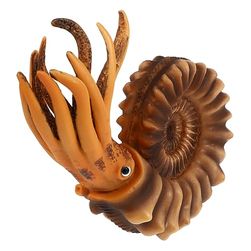 Toddmomy Lernspielzeug Nautilus Figur Simulation Meerestiere Kunststoff Tiermodell für Mädchen Jungen Desktop Dekoration Kompakt Leicht von Toddmomy