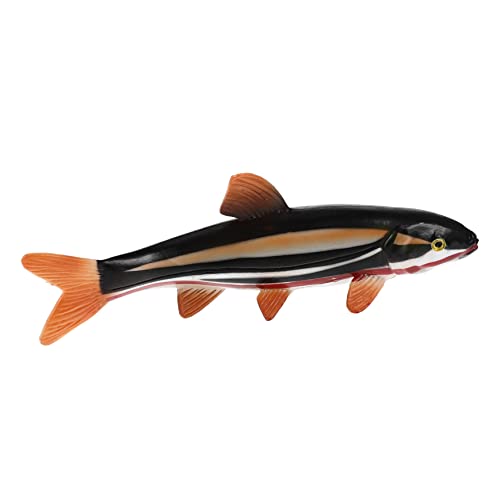 Toddmomy Lifelike Miniature Fish Toy aus Realistische Meerestiere für Lernspielzeug für Angeln und Spielspaß für Badespaß und Kreative Spielumgebungen Toddmomy Lifelike Miniature Fish Toy aus Realistische Meerestiere für Lernspielzeug für Angeln und Spielspaß für Badespaß und Kreative Spielumgebungen von Toddmomy