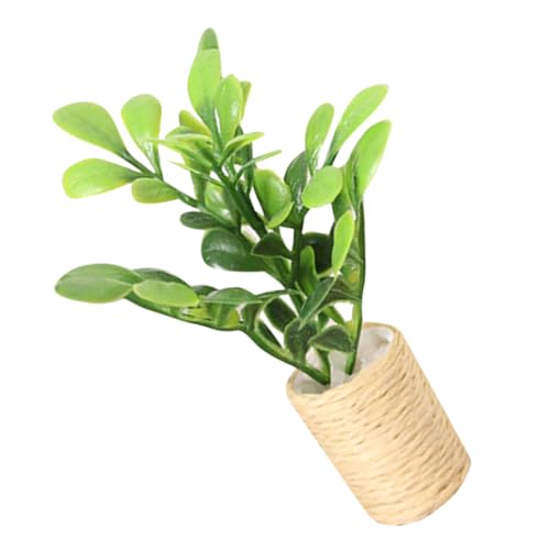 Toddmomy Mini Modell Baumschmuck Winzig Realistisch Für Puppenhaus Zimmerpflanze Künstliche Lebende Topfpflanze Kleine Dekorationen Mini Puppenhaus Kleine Miniatur Bonsai Szene Toddmomy Mini Modell Baumschmuck Winzig Realistisch Für Puppenhaus Zimmerpflanze Künstliche Lebende Topfpflanze Kleine Dekorationen Mini Puppenhaus Kleine Miniatur Bonsai Szene von Toddmomy