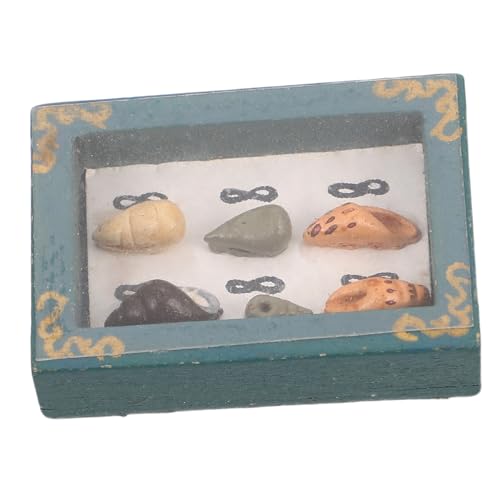 Toddmomy Miniatur DIY Dollhouse Modell mit Grüner Aufbewahrungsbox für Sammler Vielseitige Vitrine für Mini Szenen und Fotorequisiten Toddmomy Miniatur DIY Dollhouse Modell mit Grüner Aufbewahrungsbox für Sammler Vielseitige Vitrine für Mini Szenen und Fotorequisiten von Toddmomy