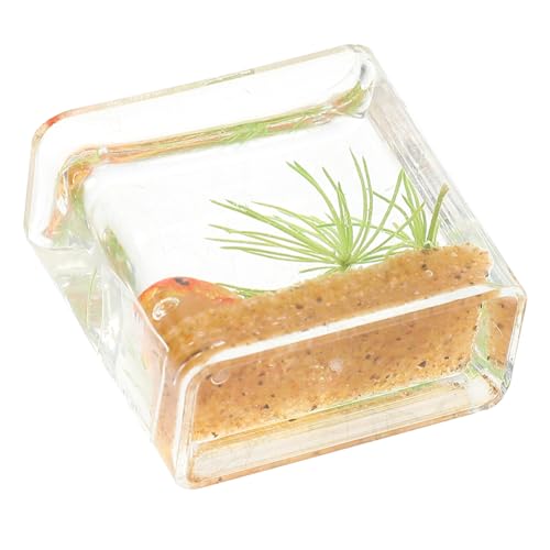 Toddmomy Miniatur Fischglas Aquarium Deko Ornament Kleines Mini Aquarium für Puppenhaus Detailreiche Tischdekoration Leichtes Miniaturmodell Warmes Wohnaccessoire DIY von Toddmomy