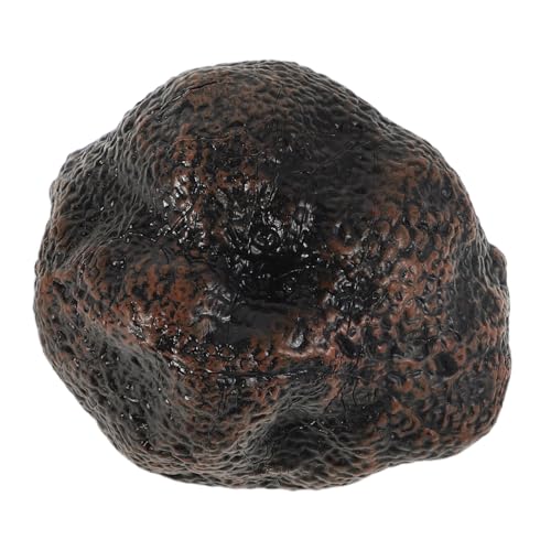 Toddmomy Modell Mit Schwarzem Trüffel Kinderzubehör Mini-simulationsspielzeug Für Die Küche Spielzeugküchenzubehör Kindernahrungsmittelhersteller Sie Küchenspielzeug Plastik Black Toddmomy Modell Mit Schwarzem Trüffel Kinderzubehör Mini-simulationsspielzeug Für Die Küche Spielzeugküchenzubehör Kindernahrungsmittelhersteller Sie Küchenspielzeug Plastik Black von Toddmomy