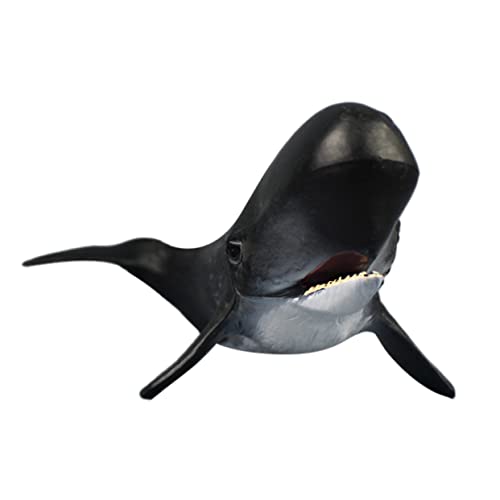 Toddmomy Modellspielzeug für Realistische Unterwasser Tierfigur Dekoration für Schreibtisch und Kinderzimmer Sicheres und Langlebiges Kinderspielzeug Fördert Toddmomy Modellspielzeug für Realistische Unterwasser Tierfigur Dekoration für Schreibtisch und Kinderzimmer Sicheres und Langlebiges Kinderspielzeug Fördert von Toddmomy
