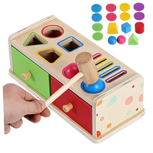 Toddmomy Montessori Holz Farb und Formsortierer für Kleinkinder Lernspielzeug aus Holzblöcken zur Farb und Formerkennung Pädagogisches Montessori Spiel für Jungen und Mädchen von Toddmomy