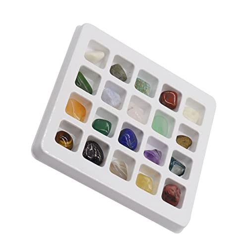 Toddmomy Natürliche Kristallsteinsammlung für Lernspielzeug mit Vielfältigen Mineralien für Unterricht und Kreative Fördert Interesse von Toddmomy