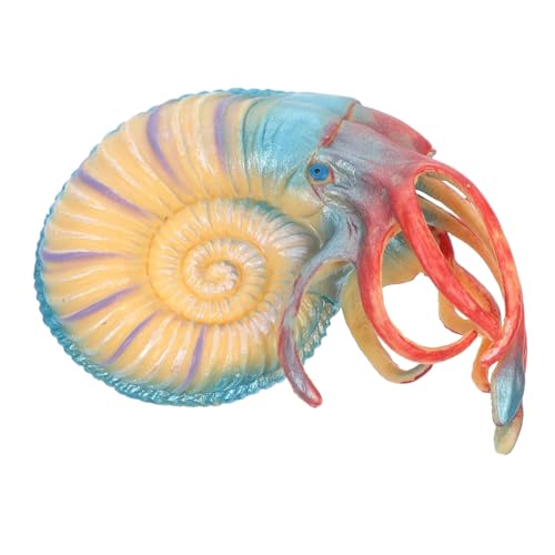 Toddmomy Nautilus Modell Meerestiere aus Langlebige Aquarium Deko für Bildung und Kreativität Fördert Umweltbewusstsein und Fantasie Ab Jahren von Toddmomy