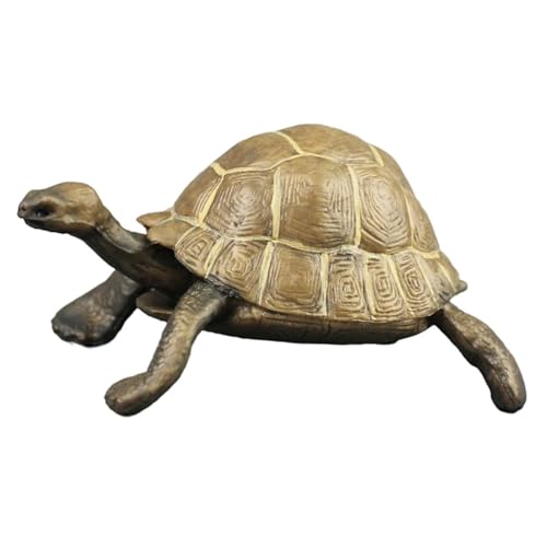 Toddmomy Plastikschildkrötenmodell Schildkrötenspielzeug Gefälschte Schildkröte -schildkröten-Figur Schildkrötenstatue Tierfigur Plastikschildkrötenfigur PVC Braun Toddmomy Plastikschildkrötenmodell Schildkrötenspielzeug Gefälschte Schildkröte -schildkröten-Figur Schildkrötenstatue Tierfigur Plastikschildkrötenfigur PVC Braun von Toddmomy