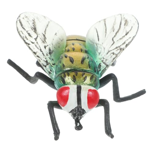 Toddmomy Realistische Hausfliege Spielzeugmodell Aus Simulations Dekoration Für Sammlungen Und Lernspielzeug Über Insekten von Toddmomy