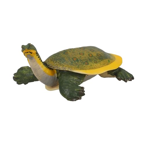 Toddmomy Realistische Schildkrötenfigur aus Langlebigem Detailgetreues Kleines Tiermodell für Kinderzimmer Garten und Lernspielzeug Vorstellungskraft und von Toddmomy