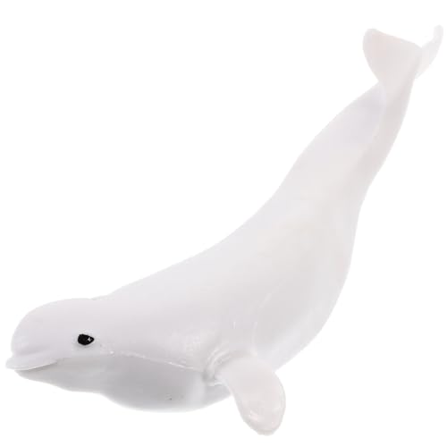 Toddmomy Realistische Walfigur Aus Simulierte Tierfigur Für Lernspielzeug Zur Dekoration Von Aquarien Bildungsmodell Für Meereslebewesen Toddmomy Realistische Walfigur Aus Simulierte Tierfigur Für Lernspielzeug Zur Dekoration Von Aquarien Bildungsmodell Für Meereslebewesen von Toddmomy