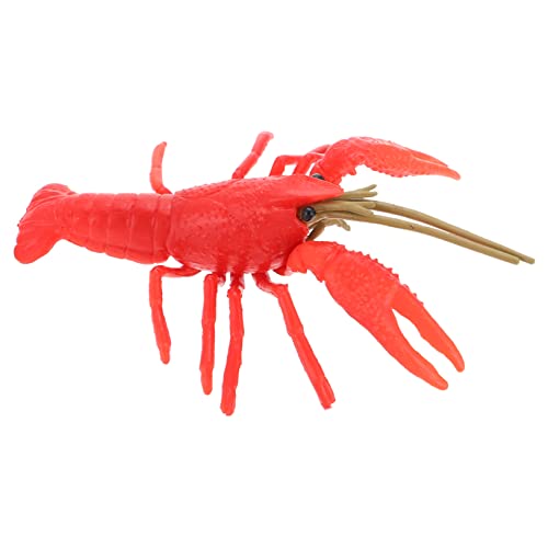 Toddmomy Realistisches Hummermodell Lobster Deko Figur Lebensecht Kleine Meeresfrüchte Nachbildung Für Zuhause Desktop Streudeko Toddmomy Realistisches Hummermodell Lobster Deko Figur Lebensecht Kleine Meeresfrüchte Nachbildung Für Zuhause Desktop Streudeko von Toddmomy