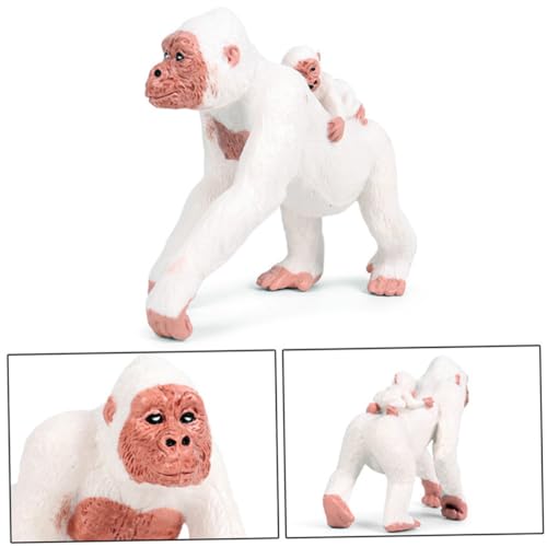 Toddmomy Realistisches Monkey Modell aus PVC Lehrreiches Affen Ornament für Fördert Tiererkennung Sicher und Dekorativ Geschenk für Junge Mädchen und Jungen Toddmomy Realistisches Monkey Modell aus PVC Lehrreiches Affen Ornament für Fördert Tiererkennung Sicher und Dekorativ Geschenk für Junge Mädchen und Jungen von Toddmomy