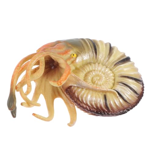 Toddmomy Realistisches PVC Nautilus Modell Meerestiere Simulation Deko Aquarium Figur Lernspielzeug für Wohnraumgestaltung Toddmomy Realistisches PVC Nautilus Modell Meerestiere Simulation Deko Aquarium Figur Lernspielzeug für Wohnraumgestaltung von Toddmomy