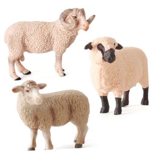 Toddmomy Realistisches Schaf Modell Ornament aus Robustem Kunststoff Detailgetreue Nachbildung für Kinderzimmer Dekoration Lebensechte Wildtierfigur Kreatives Geschenk für Ab Jahren Toddmomy Realistisches Schaf Modell Ornament aus Robustem Kunststoff Detailgetreue Nachbildung für Kinderzimmer Dekoration Lebensechte Wildtierfigur Kreatives Geschenk für Ab Jahren von Toddmomy
