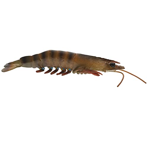 Toddmomy Realistisches Shrimps Lehrreiches für Kreatives für Dekoration und Unterhaltung von Jungen und Mädchen Toddmomy Realistisches Shrimps Lehrreiches für Kreatives für Dekoration und Unterhaltung von Jungen und Mädchen von Toddmomy