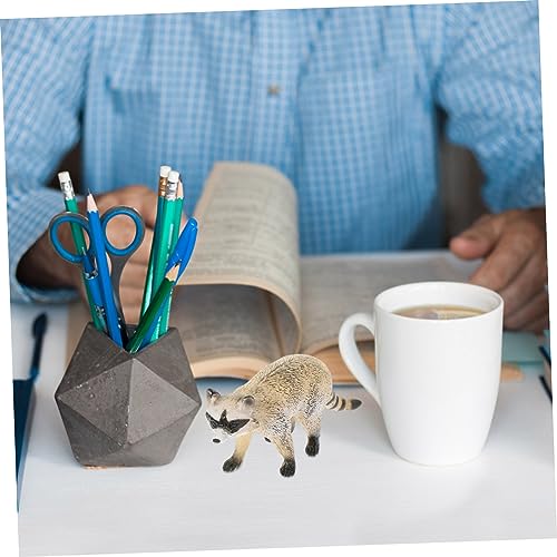 Toddmomy Realistisches Waschbär Modell aus Kunststoff Naturgetreue Wildtier Figur Robustes Pädagogisches Tier für Zuhause Büro Garten Lernspielzeug für Erwachsene von Toddmomy
