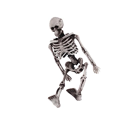 Toddmomy Schädeldekor Skelettfigur Gruselige Halloween Dekoration Für Party Langlebiges Kunststoffmaterial Requisite Für Kostümpartys Und Feierlichkeiten Toddmomy Schädeldekor Skelettfigur Gruselige Halloween Dekoration Für Party Langlebiges Kunststoffmaterial Requisite Für Kostümpartys Und Feierlichkeiten von Toddmomy