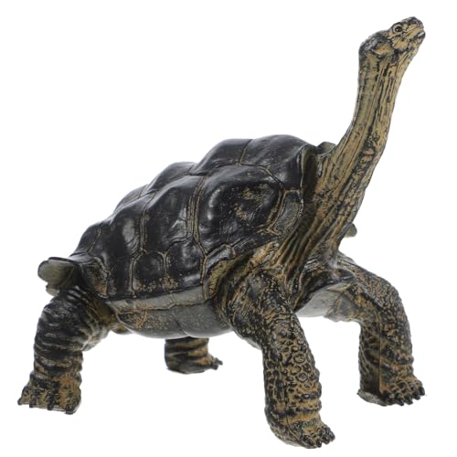 Toddmomy Schildkrötenfigur Simulationstier Modellspielzeug Für Realistische Tierfiguren Tierkenntnis Dekoration Für Kinderzimmer Und Lernspielzeug Langlebig Toddmomy Schildkrötenfigur Simulationstier Modellspielzeug Für Realistische Tierfiguren Tierkenntnis Dekoration Für Kinderzimmer Und Lernspielzeug Langlebig von Toddmomy