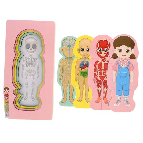 Toddmomy Set Menschlicher Körper Struktur Puzzle Denksportaufgaben Rätsel Für Organ Modelle Gehirn Gehirn Puzzles Holz von Toddmomy