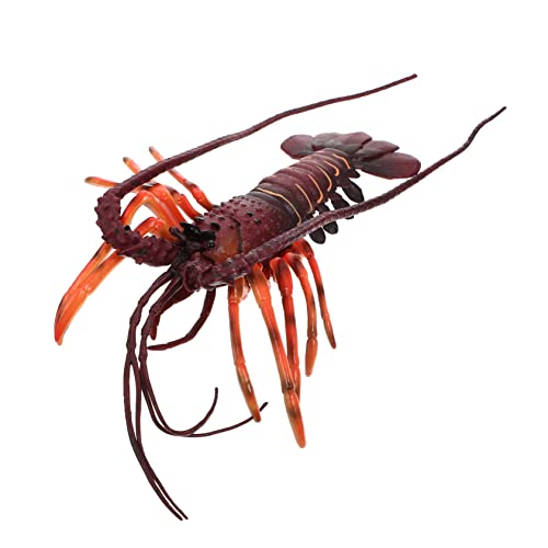Toddmomy Simulation Hummer Modellspielzeug aus Kunststoff Realistische Dekoration für Lustiges Meerestier Modell für Lernspiele und Kreative Gestaltung von Toddmomy