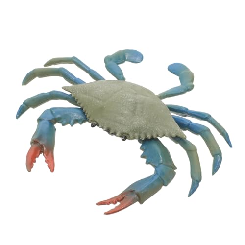 Toddmomy Krabbenmodell Realistisches Dekorationsspielzeug Pädagogisches Lernspielzeug Für Aquarien Und Terrarien Gestaltung Für Zuhause Und Büro Lustiges Kreatives Spielzeug Für Toddmomy Krabbenmodell Realistisches Dekorationsspielzeug Pädagogisches Lernspielzeug Für Aquarien Und Terrarien Gestaltung Für Zuhause Und Büro Lustiges Kreatives Spielzeug Für von Toddmomy