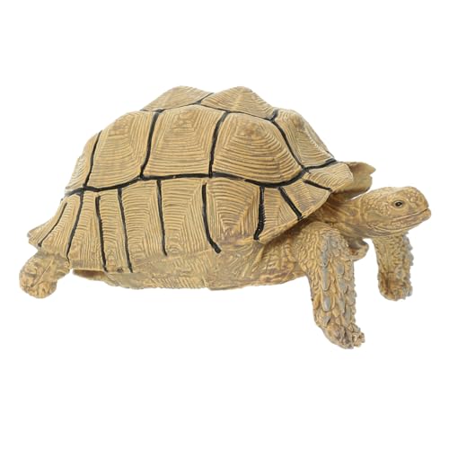 Toddmomy Simulation Schildkröte Figur Realistisches Schildkrötenmodell Aus Robustem Hartplastik Für Kinderzimmer Und Gartendekoration Lebensechte Details Für Lernzwecke Toddmomy Simulation Schildkröte Figur Realistisches Schildkrötenmodell Aus Robustem Hartplastik Für Kinderzimmer Und Gartendekoration Lebensechte Details Für Lernzwecke von Toddmomy