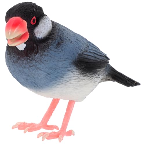 Toddmomy Simulationsvogelmodell gefälschtes Vogeldekor Simulationsvogel schmücken Figuren Szene für lernspielzeug Educational Toys gartendeko dekorativer Vogelschmuck Wohnkultur PVC Toddmomy Simulationsvogelmodell gefälschtes Vogeldekor Simulationsvogel schmücken Figuren Szene für lernspielzeug Educational Toys gartendeko dekorativer Vogelschmuck Wohnkultur PVC von Toddmomy