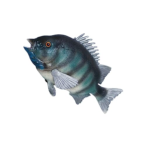 Toddmomy Simuliertes Felsenbrassenfisch Modell Realistische Meerestier Figur aus Hochwertigem Kunststoff Dekoration für Aquarien oder Pädagogisches Toddmomy Simuliertes Felsenbrassenfisch Modell Realistische Meerestier Figur aus Hochwertigem Kunststoff Dekoration für Aquarien oder Pädagogisches von Toddmomy