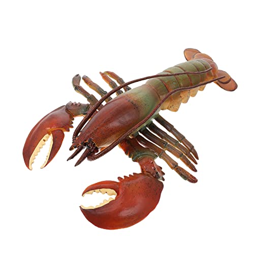Toddmomy 1stücke Simulation Lobster Creature Desktop Ornament Meereslebewesen Für Mädchen Lernspielzeug Kognitiven Entwicklung Perfektes Für Kleine Toddmomy 1stücke Simulation Lobster Creature Desktop Ornament Meereslebewesen Für Mädchen Lernspielzeug Kognitiven Entwicklung Perfektes Für Kleine von Toddmomy