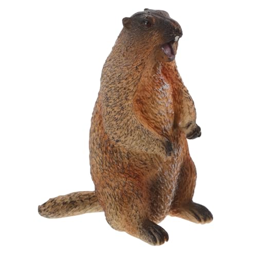 Toddmomy Stehen Groundhog Toy Wild Animal Model Realistische Ornament Kinder Kognition Lernen Groundhog Figur Für Raumdekoration Bürodekoration Toddmomy Stehen Groundhog Toy Wild Animal Model Realistische Ornament Kinder Kognition Lernen Groundhog Figur Für Raumdekoration Bürodekoration von Toddmomy