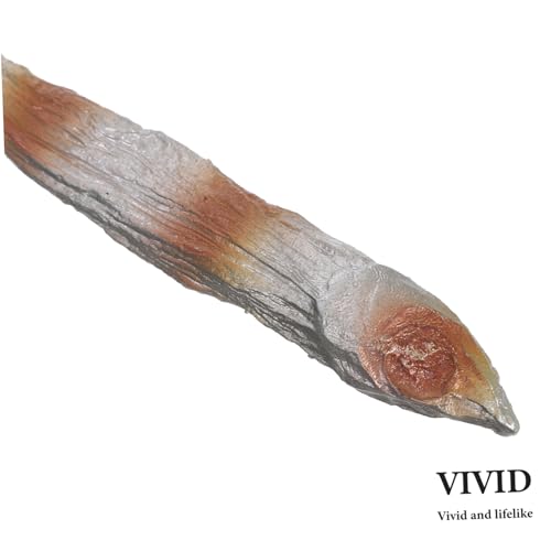 Toddmomy Teiliges Künstliche Fischfilets aus Robustem PVC Realistische Gebratene Fischscheiben als Täuschend Echte Meeresfrüchte Deko für Küchen Fotografie Party und Schaustücke von Toddmomy