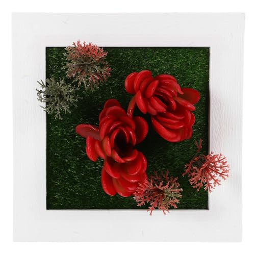 Toddmomy Wandrahmen Für Pflanzen Minimalistische Pflanzen Wandkunst Pflanzenhalterrahmen Bilderrahmen Für Den Außenbereich Roter Kunststoff Toddmomy Wandrahmen Für Pflanzen Minimalistische Pflanzen Wandkunst Pflanzenhalterrahmen Bilderrahmen Für Den Außenbereich Roter Kunststoff von Toddmomy