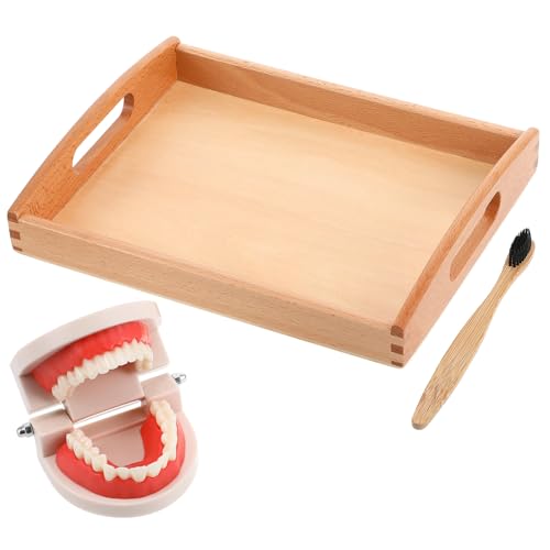 Toddmomy Wasch und Putzset aus Holz Educatives für Frühes Lernen Zahnbürste und Holztablett für Ab Jahren Zufällige Farbe Zufällige Farbe Toddmomy Wasch und Putzset aus Holz Educatives für Frühes Lernen Zahnbürste und Holztablett für Ab Jahren Zufällige Farbe Zufällige Farbe von Toddmomy