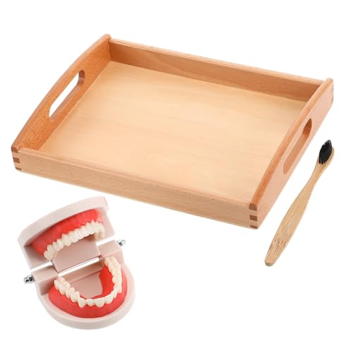 Toddmomy Zahnbürsten für Holzspielzeug Mundhygiene und Spielerischen Zahnpflege Geeignet für Frühkindliche Bildung und Spaß Beim Zähneputzen Zufällige Farbe Zufällige Farbe Toddmomy Zahnbürsten für Holzspielzeug Mundhygiene und Spielerischen Zahnpflege Geeignet für Frühkindliche Bildung und Spaß Beim Zähneputzen Zufällige Farbe Zufällige Farbe von Toddmomy