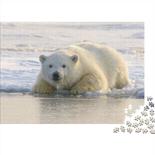 Polar Bear Puzzle 300 Teile, Impossible Puzzle,Animal Puzzle Farbenfrohes Legespiel,Geschicklichkeitsspiel Für Die Ganze Familie 300pcs (40x28cm) von ToeTs