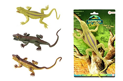 Toi-Toys - Echte Reptilien, Kartenspiele, 37640Z, Mehrfarbig von Toi-Toys