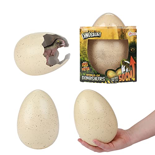 Toi-Toys XXL Dinosaurier Spielzeug Schlüpfei - Überraschungsei mit Dino für Kinder - 20cm - Schlüpfender Dinosaurier aus Wachstums-Ei - ab 6 Jahren Toi-Toys XXL Dinosaurier Spielzeug Schlüpfei - Überraschungsei mit Dino für Kinder - 20cm - Schlüpfender Dinosaurier aus Wachstums-Ei - ab 6 Jahren von Toi-Toys