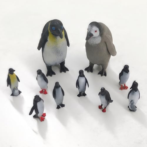 Tokaneit 10 Stück Pinguin Figuren, Simulation Pinguin, Realistische Pinguinfiguren Spielzeug, Kunststoff Arktis Tierfiguren, Zum Spielen Oder Als Deko, Winter Spielzeug Tierfigur, Detailgetreu Tokaneit 10 Stück Pinguin Figuren, Simulation Pinguin, Realistische Pinguinfiguren Spielzeug, Kunststoff Arktis Tierfiguren, Zum Spielen Oder Als Deko, Winter Spielzeug Tierfigur, Detailgetreu von Tokaneit