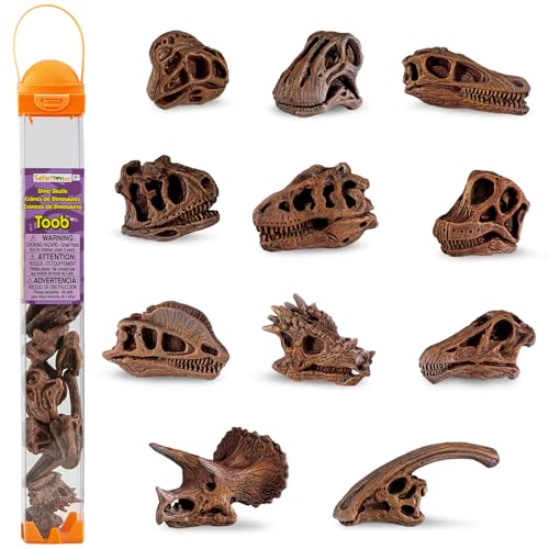Toob SF687404 Dinosaurier Totenköpfe von Toob