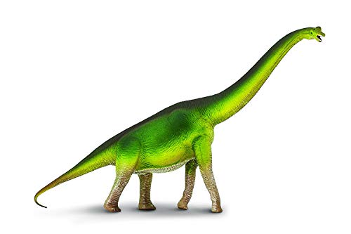 Toob Safari Ltd. Brachiosaurus Figur – Detaillierte 33 cm Lange Dinosaurier-Figur – Lernspielzeug für Jungen, Mädchen und Kinder ab 3 Jahren von Safari Ltd.