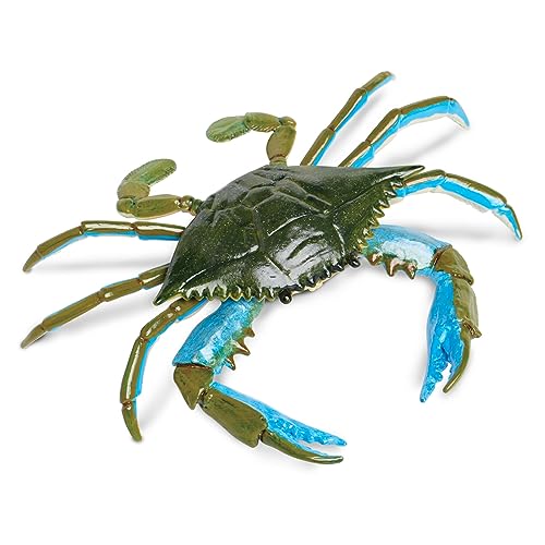 Toob Safari Ltd. Blaue Krabbenfigur – realistische 17,8 cm große Modellfigur – Lernspielzeug für Jungen, Mädchen und Kinder ab 18 Monaten von Safari Ltd.