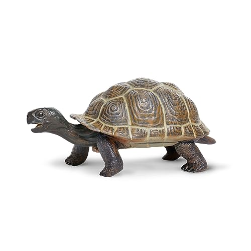 Toob "Safari Incredible Creatures Schildkröte Baby Miniatur (Mehrfarbig) von Safari Ltd.