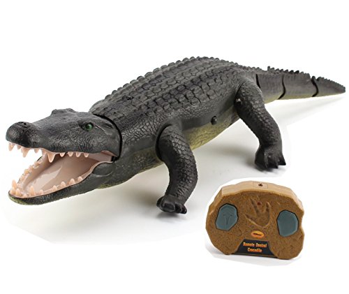 Top Race Fernbedienung Crocodile, Prank Krocodile RC Tierspielzeug, Sieht echt aus, fühlt Sich echt an und bewegt Sich wie EIN echtes Krokodil (TR-Croc) von Top Race